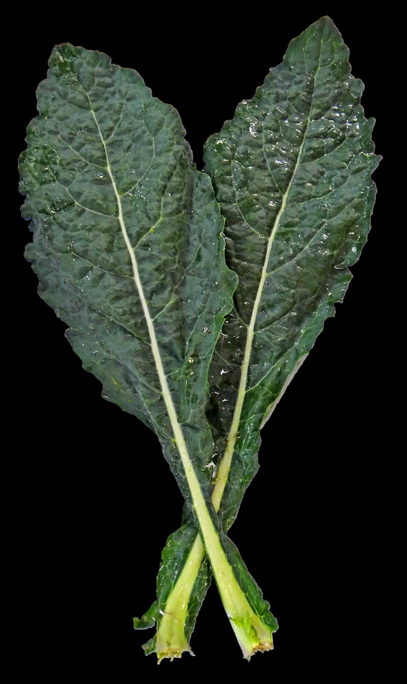 Kale